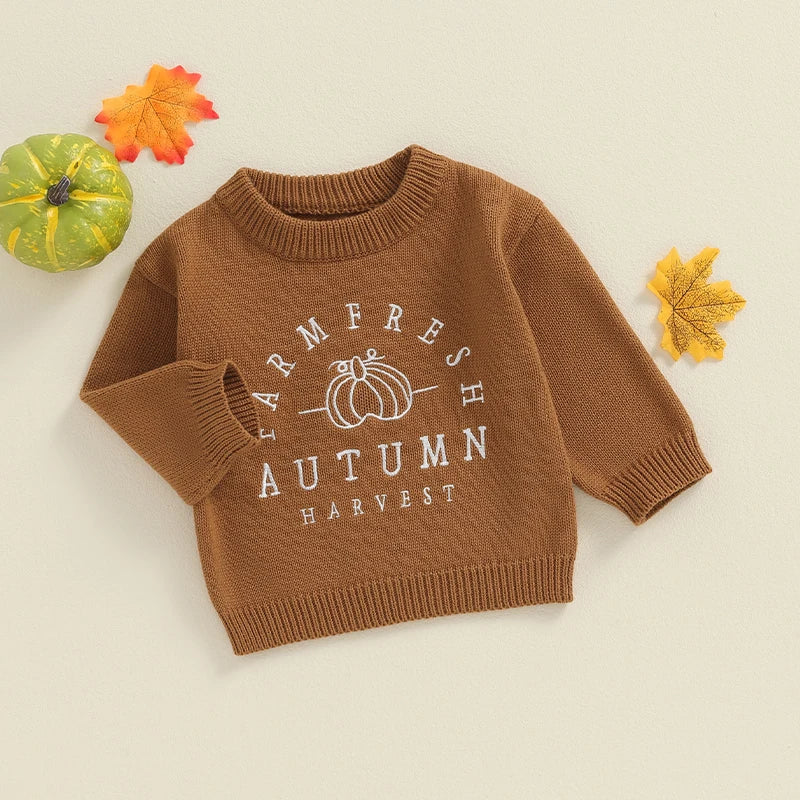 Autum Knit Crew