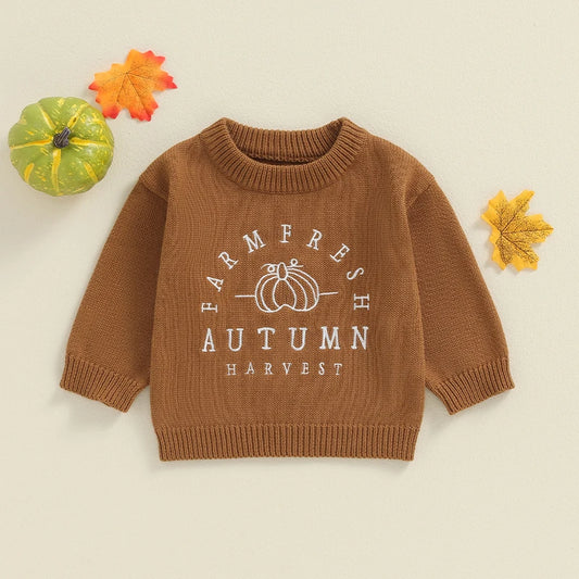 Autum Knit Crew